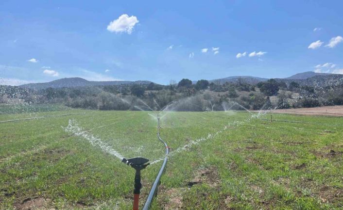 Çiftçiler yağmur yağmadığı için tarlalarını sulamaya başladı