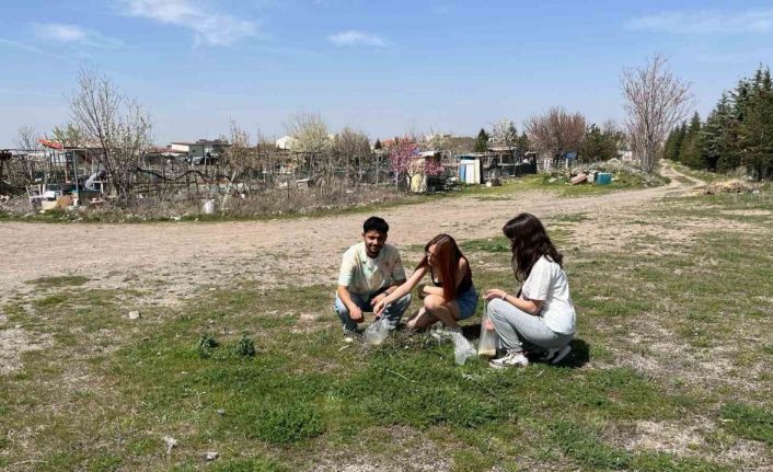 ERÜ’de kampüsün simgesi ‘Gelengiler’ uyandı