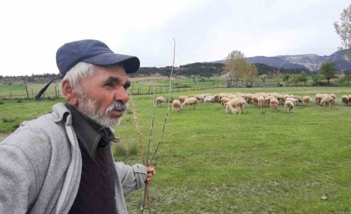 Havaların ısınmasıyla küçükbaş hayvanlar meralara çıkmaya başladı