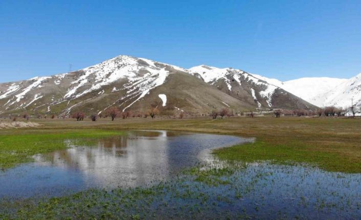 Tatvan’da tarım arazileri suya gömüldü