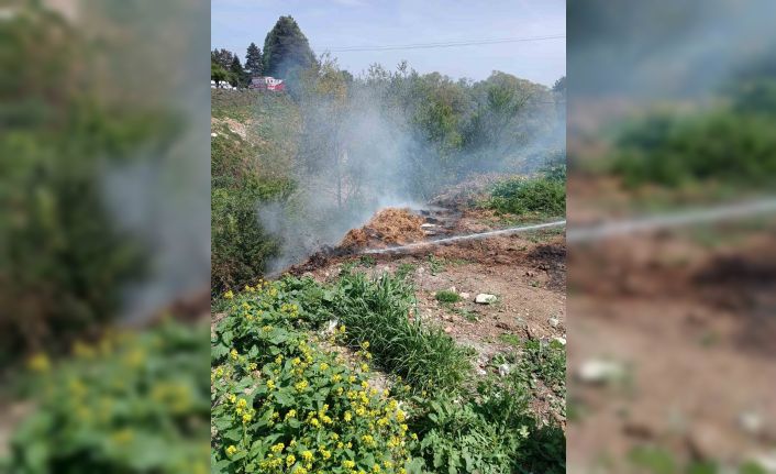 Yol kenarındaki çürümüş samanlar alev aldı