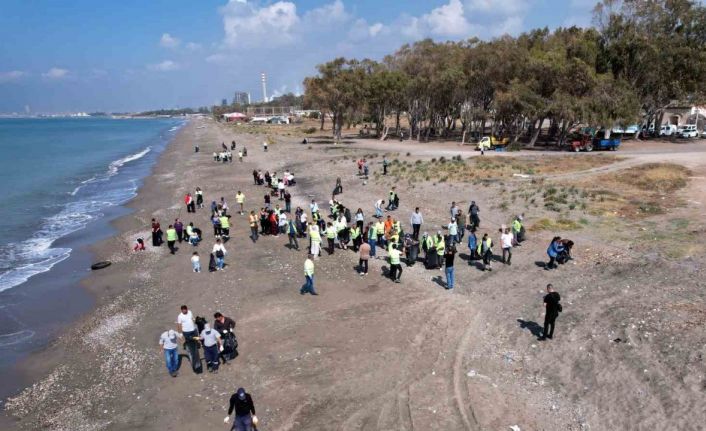 Caretta carettaların yumurtlama alanlarından Kazanlı sahili temizlendi