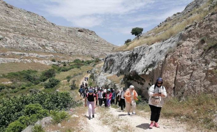 Doğaseverler Halfeti’de ’karagül’ü aradı