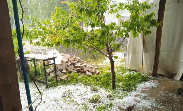 Dolu yağışı kayısıya zarar verdi