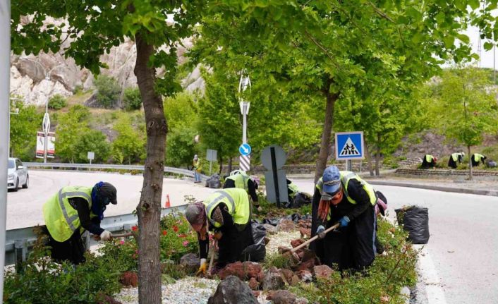 Elazığ’da yeşil alanlarda bahar temizliği