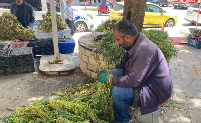 Elazığ’da yeşil nohut tezgahlardaki yerini aldı