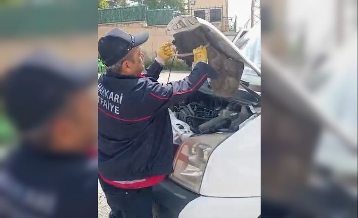 Hakkari’de minibüsün motor kaputuna giren yılanı itfaiye ekipleri çıkardı