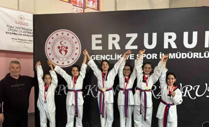 İspirli sporcular bölge Taekwondo müsabakalarına damga vurdu