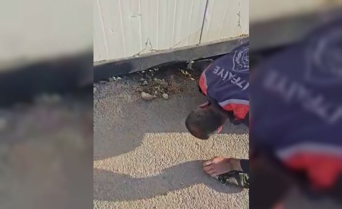 Konteyner altında kalan yavru köpek itfaiye tarafından kurtarıldı