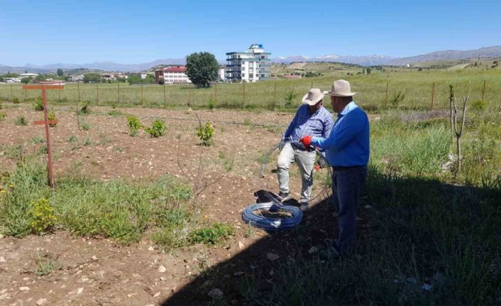 Kulp ilçesinde, örtü altı üzüm yetiştirilecek