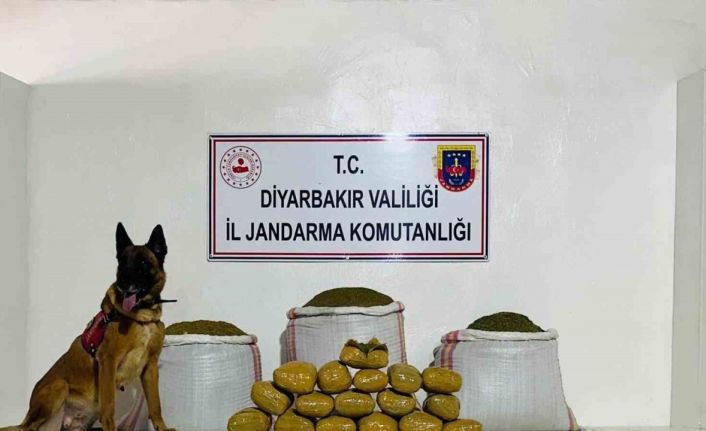 Lice’de 76 kilo toz esrar ele geçirildi