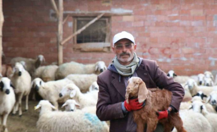 Meşhur muhtar dolandırıldı, derdini şiirle anlattı