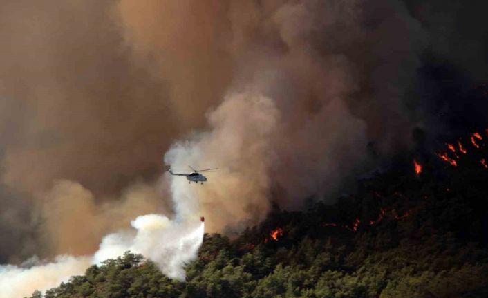 Muğla’da 31 Ekim’e kadar ormanlara giriş yasaklandı