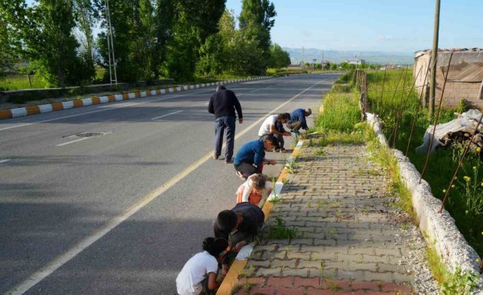 Muş’ta yağan bilinmeyen cisimler şaşırttı