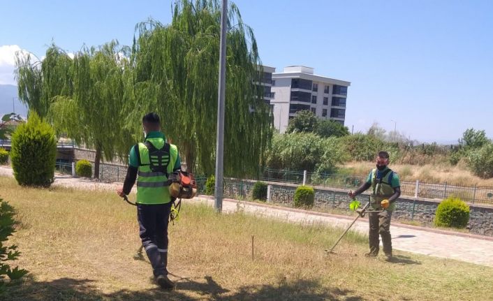 Nazilli Belediyesi, yeşil alanları bakıma aldı