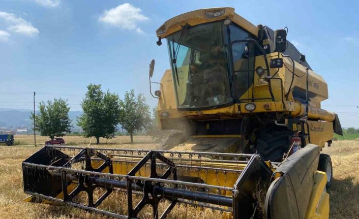 Osmaniye’de yüz güldüren buğday hasadı