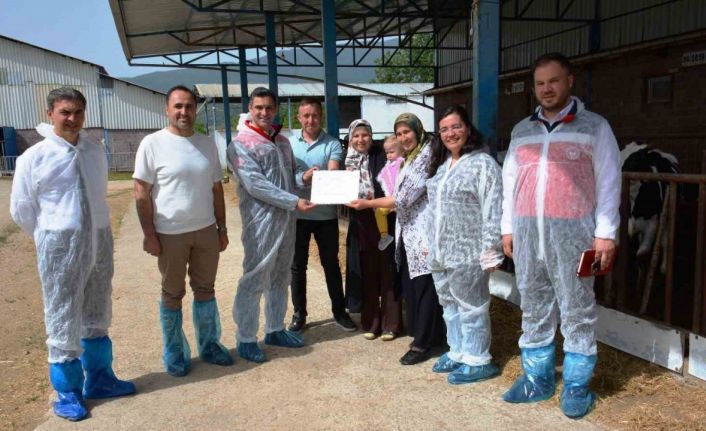 Simav’da ’ilk hastalıktan ari işletmesi’ sertifikalandırıldı