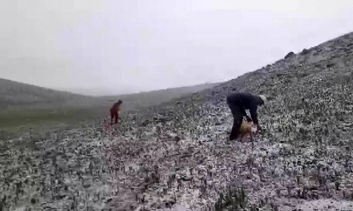 Tunceli’de mayısın ortasında kar yağdı