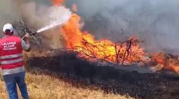 Anız yangını ormana sıçradı