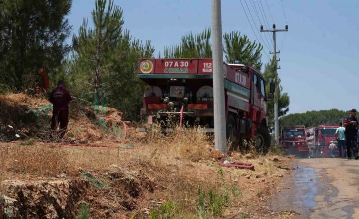 Antalya’da çıkan orman yangını ekipler ve vatandaş işbirliğiyle söndürüldü