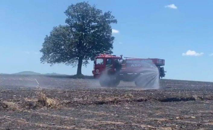 Balıkesir’de tarla yangını: 35 ton buğday kül oldu