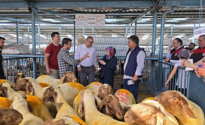 Belgesiz kurbanlıkların kente girişine izin verilmiyor