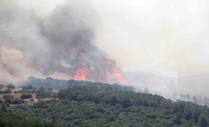 Biçerdöver kaynaklı yangın ormana sıçradı