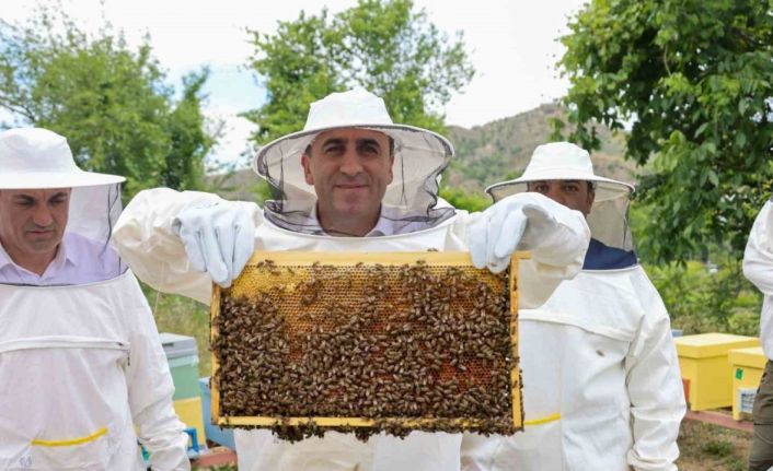 Bilecik’te ‘varroa’ ile topyekûn mücadele