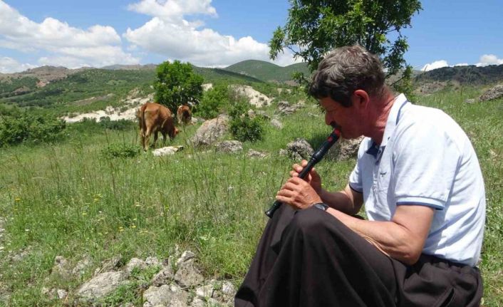 Bin 400 metre rakımdaki sürülerini "flüt" eşliğinde otlatıyor