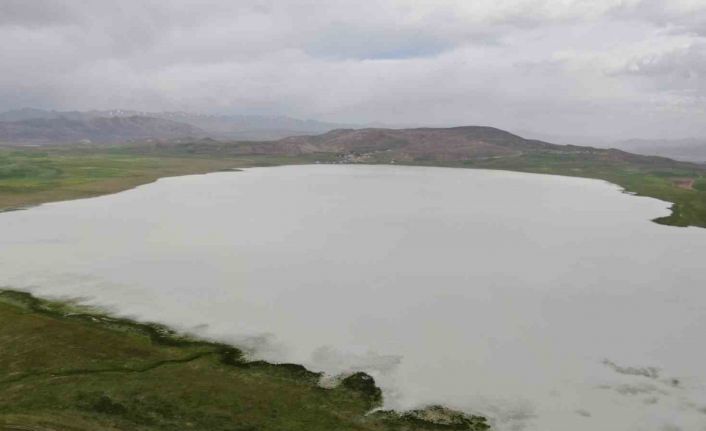 Bu yıl kurumayan Akgöl misafirlerini ağırlıyor