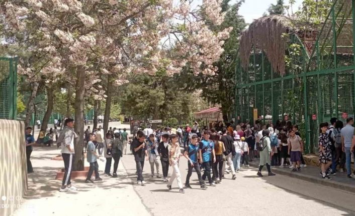 Büyükşehir’in müzeleri ve doğal yaşam parkı, ziyaretçi akınına uğradı