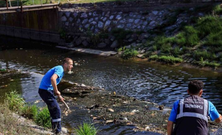 Çark Deresi’ndeki temizlik çalışmaları sıklaştırıldı