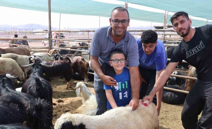 Elazığ’da bayramın son gününde kurbanlık alma telaşı sürdü