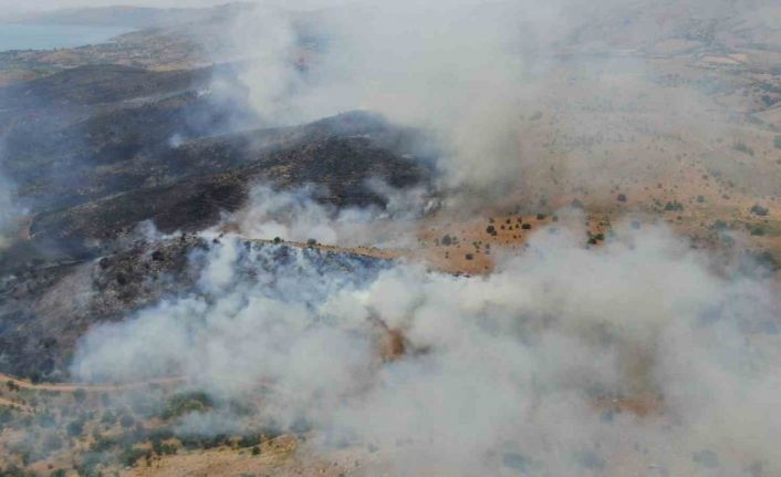 Elazığ’da orman yangınına havadan müdahale sürüyor