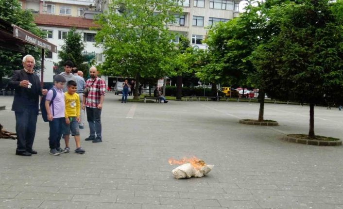 Gazze’deki soykırıma Artvinli akademisyenden dramatik tepki