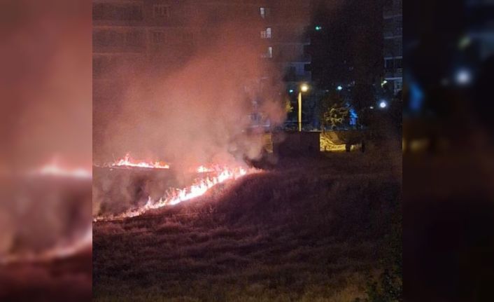 Havai fişek yangına neden oldu