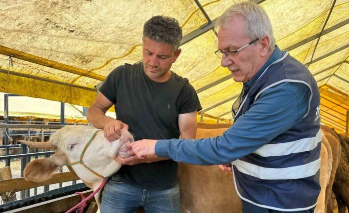 İhlas Vakfı Kurban Bayramı’nda faaliyetlerini sürdürüyor