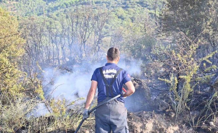 Manisa İtfaiyesinin yangınlarla mücadelesi devam ediyor