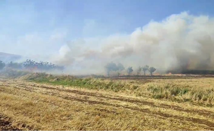 Mardin’de anız yangını: Söndürme çalışmaları sürüyor