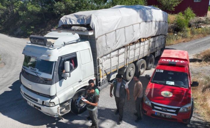 Mersin’de orman kaçakçılığına yönelik denetim yapıldı