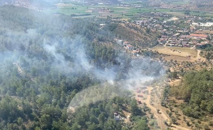 Milas’taki yangın büyümeden söndürüldü