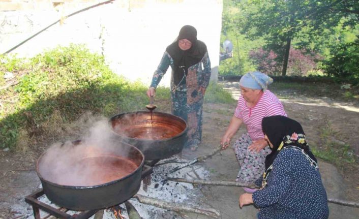 Ordulu kadınların dut pekmezi mesaisi