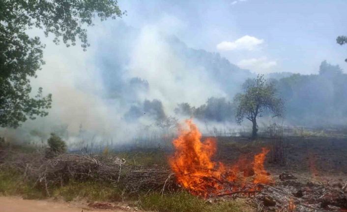 Ormanlık alanda çıkan yangın büyümeden söndürüldü