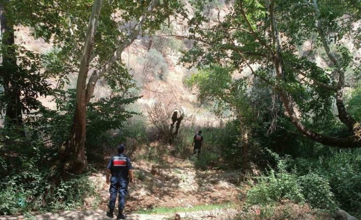 Ormanlık alanda mangal yakan 31 kişi cezadan kaçamadı