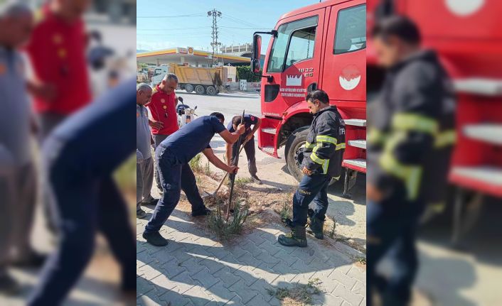 Rögara düşen köpeği itfaiye kurtardı