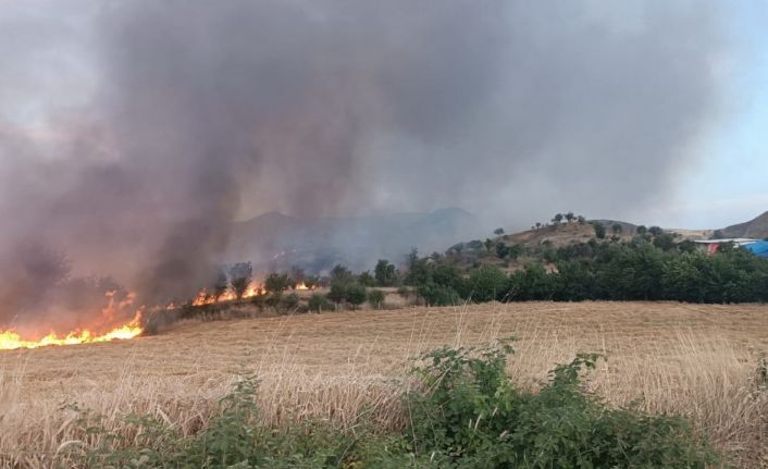 Saman yangınında hayvanlar tahliye edildi