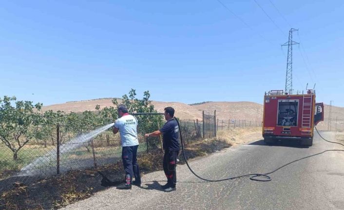 Siirt’te farklı noktalarda meydana gelen yangınlar büyümeden söndürüldü