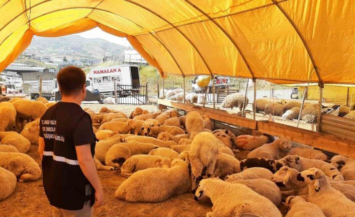 Umuma açık alanlarda kurban kesenlere ceza yağacak