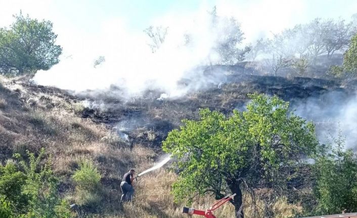 Üzümlü’de örtü yangını