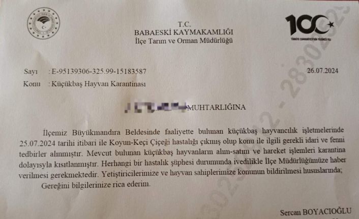 Babaeski’de küçükbaş hayvanlarda çiçek hastalığına rastlandı